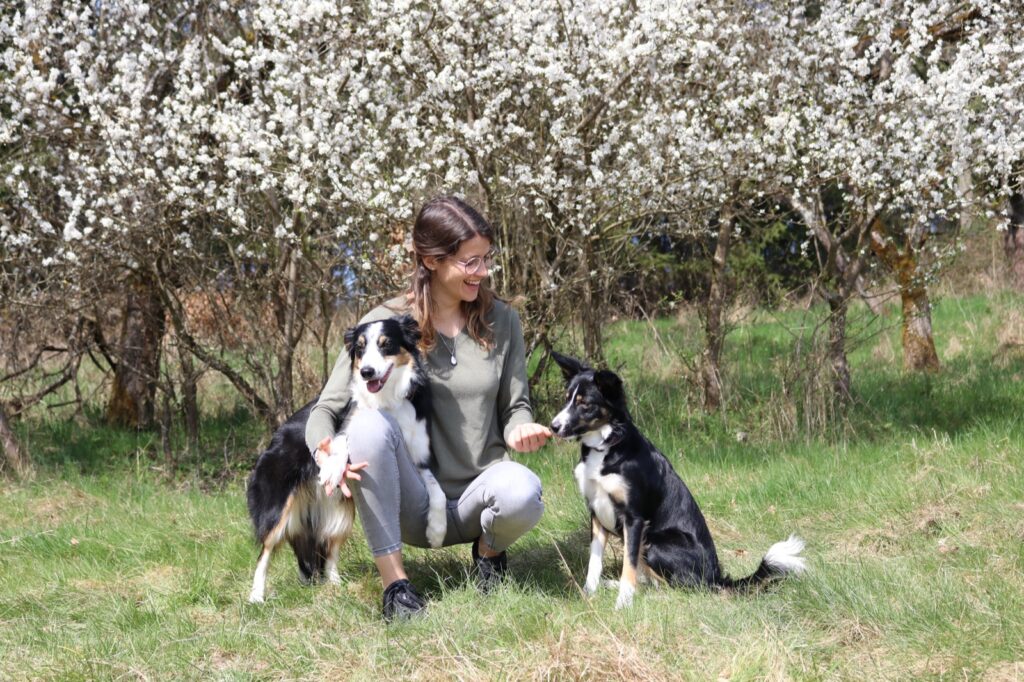 Aylin Wiesner trainiert mit zwei aufmerksamen Hunden auf einer Frühlingswiese